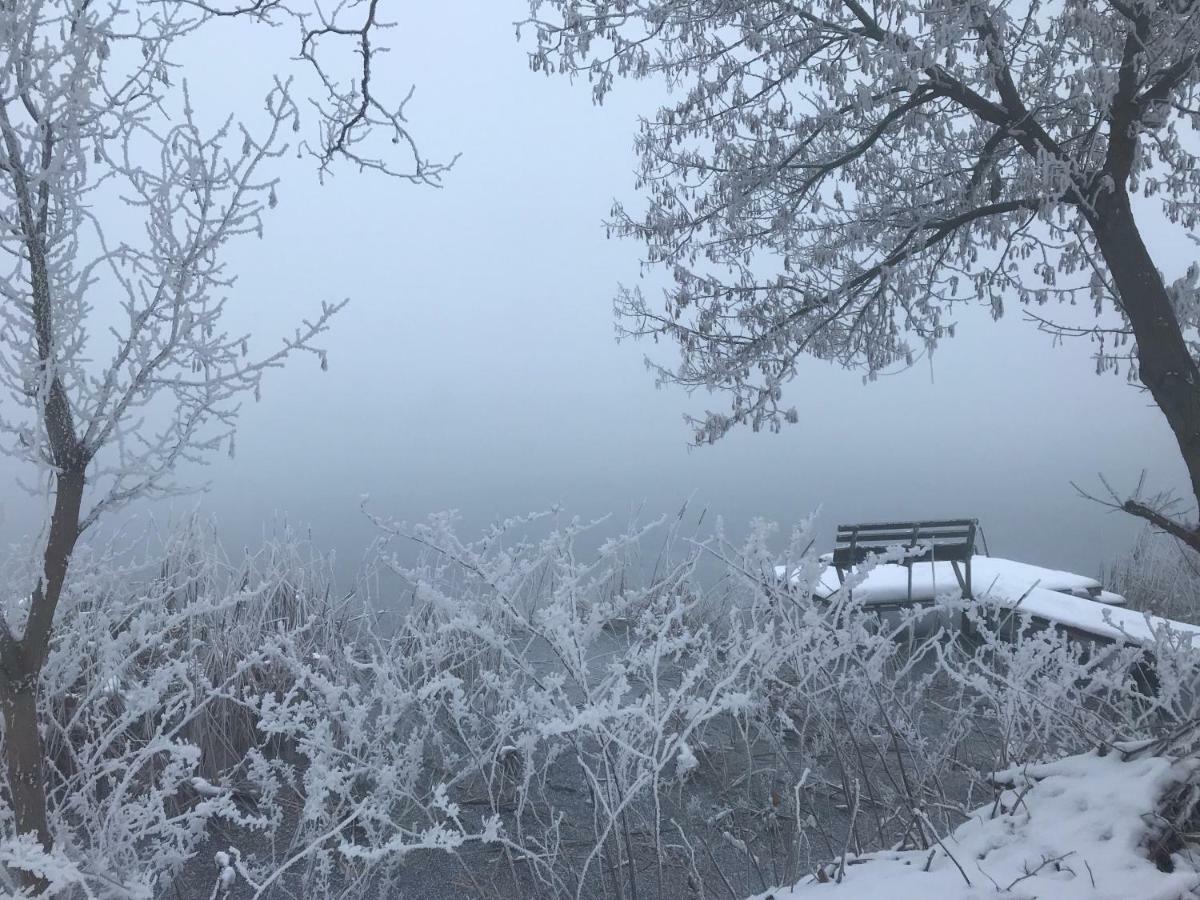 Neptun Apartman Domsod Buitenkant foto
